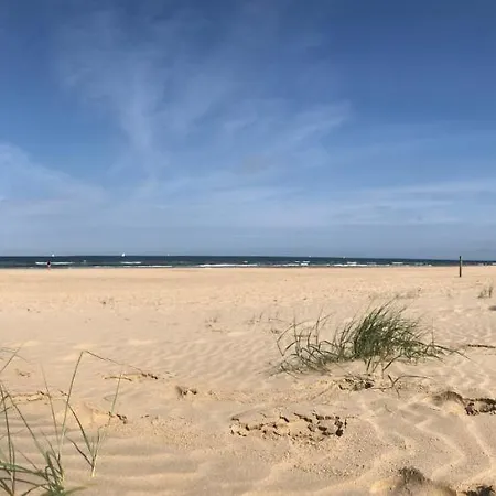 Seasons Garden House 2025 *