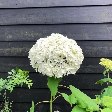 Vakantiehuis Seasons Garden House 2025 *